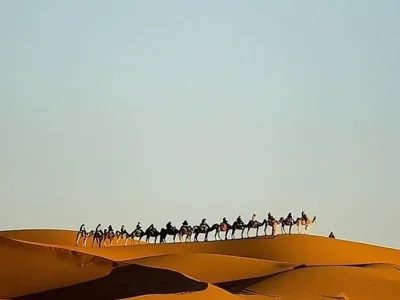 night in merzouga trip